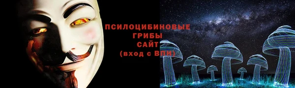 2c-b Абинск