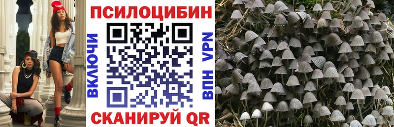 Галлюциногенные грибы Psilocybe  Барнаул 